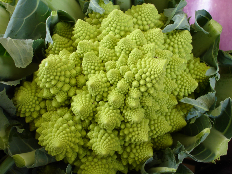 Romanesco-broccoli: en fraktal grønnsak!